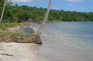 Petite bacaye beach