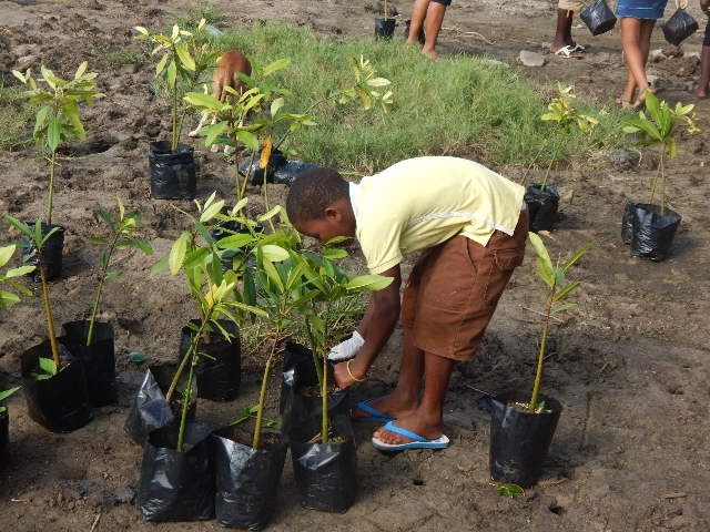 Young man selecting his tree for planting