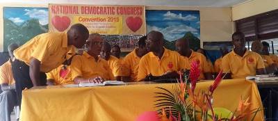 NDC New Executive until the next convention