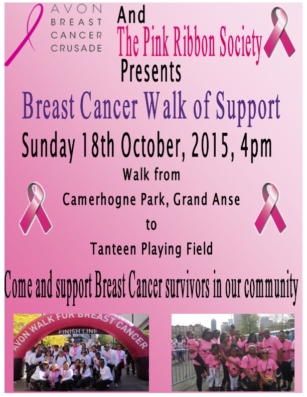 AVON breast cancer walk poster