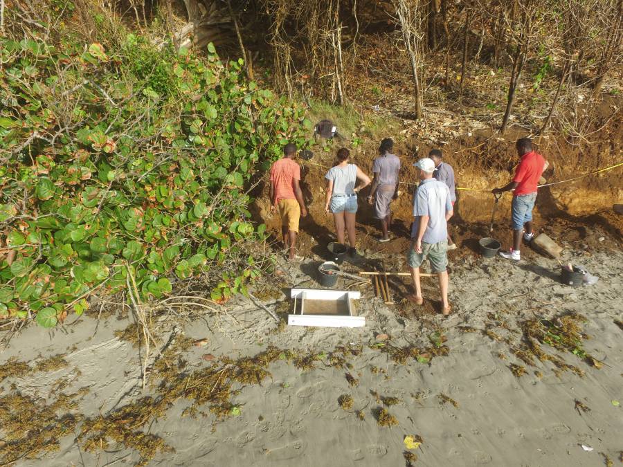 Excavating along the coastline where coastal erosion has led to a loss of Amerindian heritage