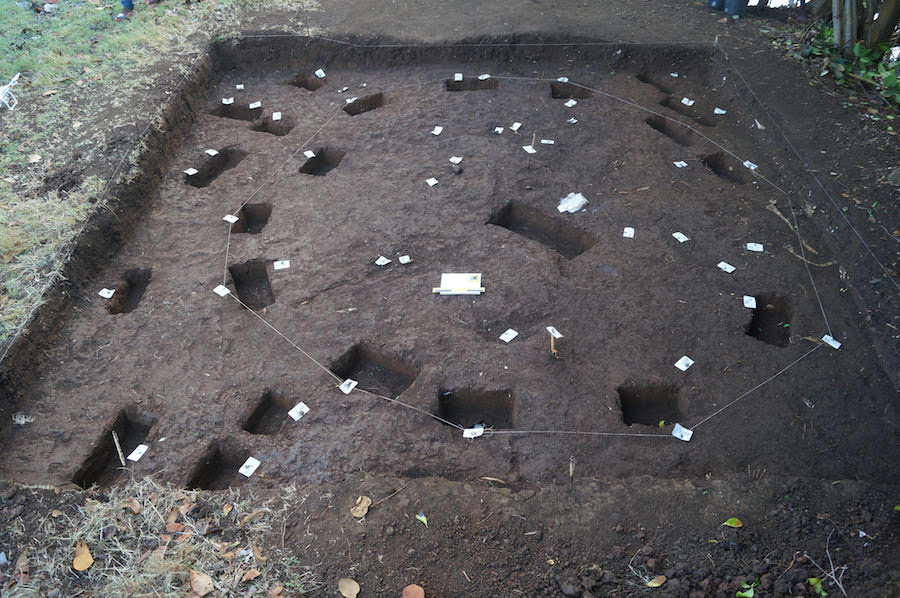 Test pit showing the remains of post holes and the outline of a Kalinago house