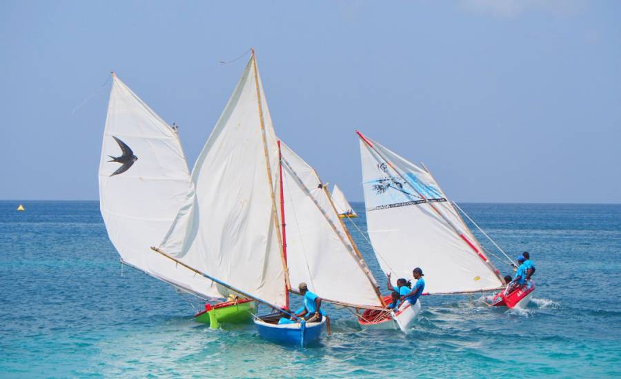 Grand Mal boat Swift in competitive racing at 2016 Westerhall White Jack Workboat Regatta