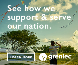 Grenlec – Future: Article Pages Sidebar Box