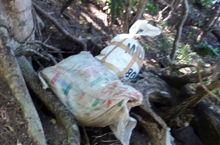 Marijuana recovered at the Anse La Roche Beach, Carriacou