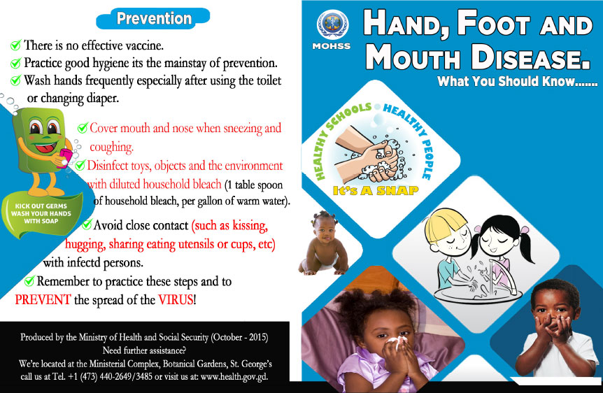 Hand, Foot and Mouth Diseas Brochure