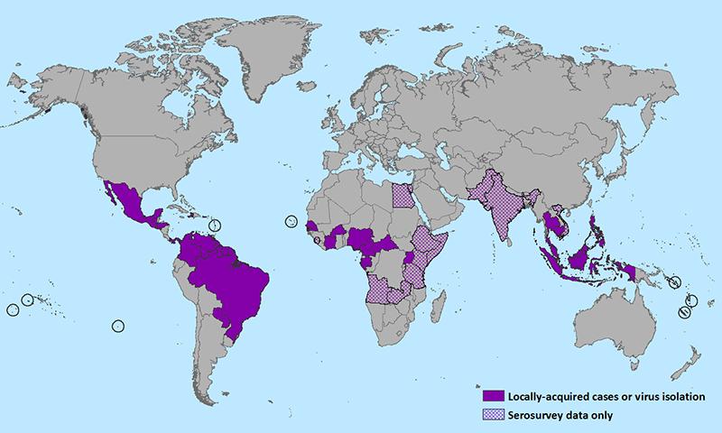 Countries that have past or current evidence of Zika virus transmission. Source: CDC