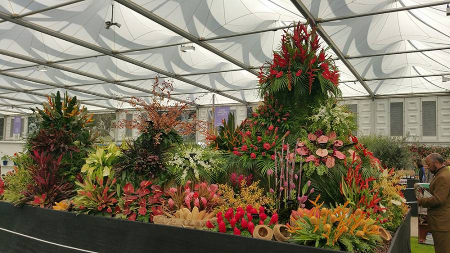 Grenada exhibit at RHS Chelsea Flower Show May 2016