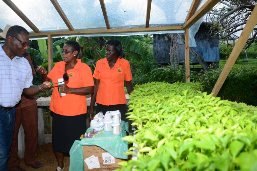 Left to right: Derek Charles(IICA representative), Theresa Marryshow (President of Grenrop), Bernadette Joseph (Seedling Shelter Operator)