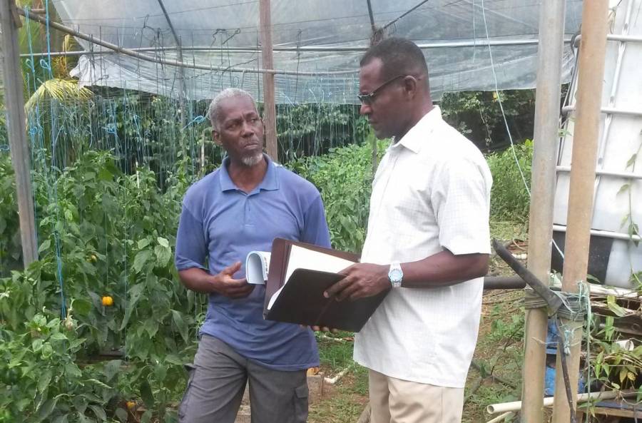 Grenada’s agriculture sector makes valuable contributions to enrich IICA’s road map
