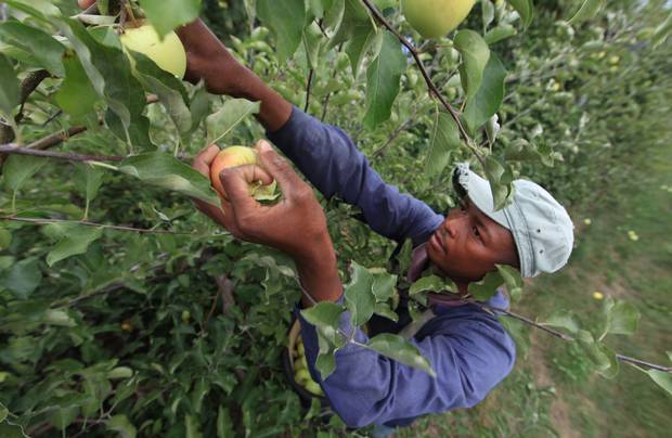Trump Administration shuts door on visa exemptions for Caribbean labourers