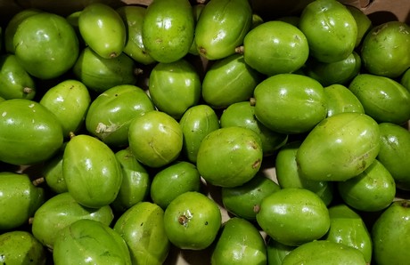 Shipments of June plums from Grenada to the US begin