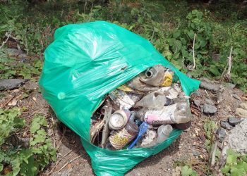 Dropping, picking up, dropping – litter cycle continues unbroken