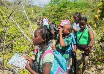 BirdSleuth Caribbean Programme connects kids to science and nature