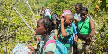 BirdSleuth Caribbean Programme connects kids to science and nature
