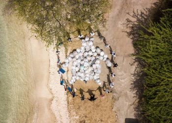 Over 60 bags of litter collected at True Blue community cleanup