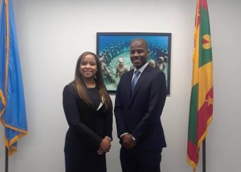 BVI Special Envoy pays courtesy call on chair of UN Decolonisation Committee