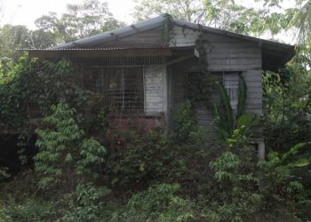 The legacy of Mother Cornhusk