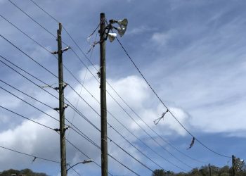 Vector Control Unit receives counselling support following death of colleague