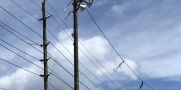 Vector Control Unit receives counselling support following death of colleague