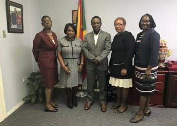 Prime Minister receives courtesy call from Caribbean Nurses Organisation