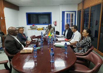 Government Technical Committee meets with LIAT Delegation