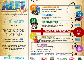 Reef Week Returns to the Grenville Bay Area (GBA)