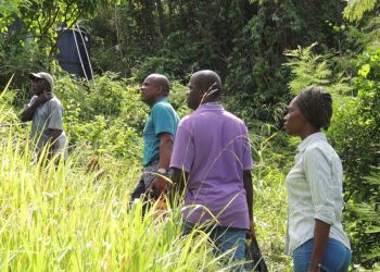 Ministry of Agriculture offers technical support in irrigation to farmers under CATS Project