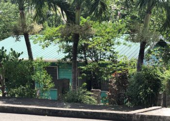 Police investigating death of man at Corinth, St David