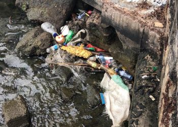 Unsightly garbage in the Carenage progressively worse