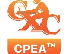 Summary report on candidates’ performance in the 2019 CPEA
