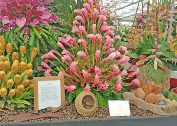 The 10 most beautiful countries for botanical tourism