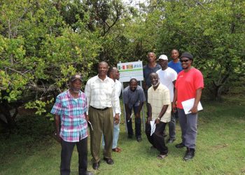 Ministry of Agriculture informed farmers of best practices when cultivating coconuts