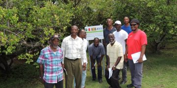 Ministry of Agriculture informed farmers of best practices when cultivating coconuts
