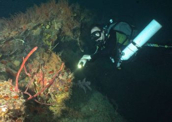 10 awesome Grenada wrecks that will make you lust for rust!