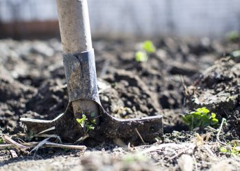 Sod-turning heralds plans to expand the River Sallee Pre-School