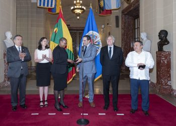 Grenada Assumes Chair of OAS Permanent Council