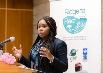 Sustainable Development Council puts spotlight on biodiversity 