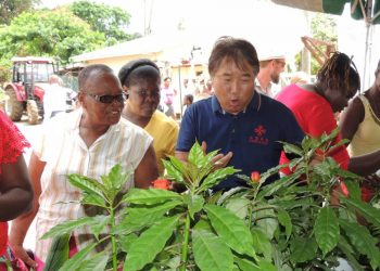 Plant distribution season opens