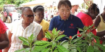 Plant distribution season opens