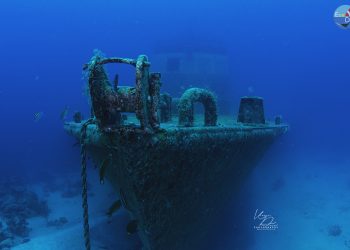 Diving wreck Tyrell Bay celebrates 1st anniversary
