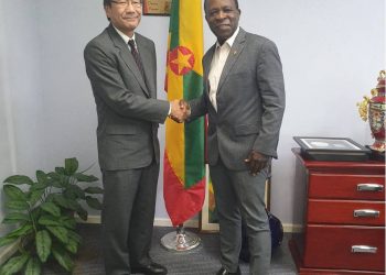 Prime Minister receives courtesy call from Japanese ambassador
