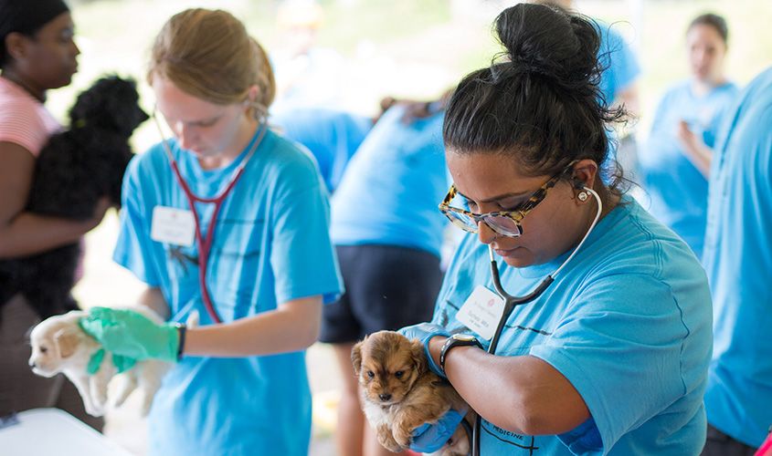 SGU’s Veterinary Medicine programme accredited for the UK