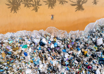 Grenada among biggest plastic polluters per capita in the world