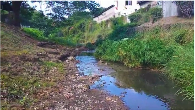 Ecosystem changes found in Grenada and Carriacou