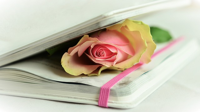 World Poetry Day 21 March
