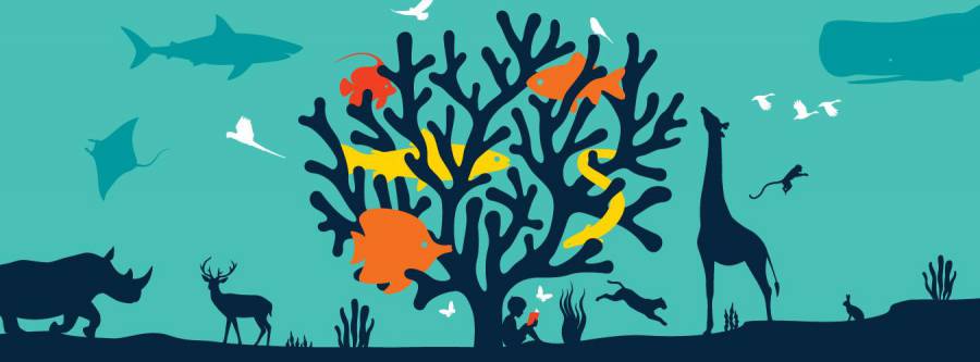 World Wildlife Day 3 March