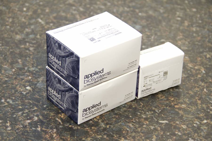 Government of Brazil donates 6000 RT-PCR Covid-19 test kits to the OECS