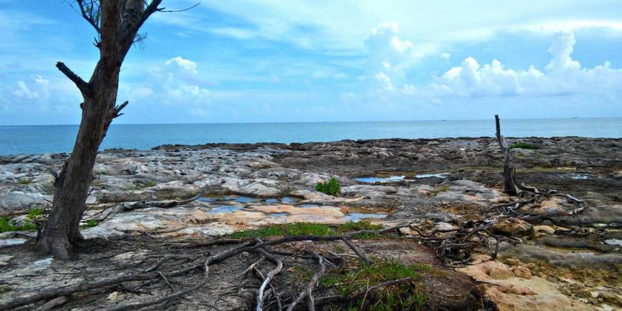 New CARICOM–EU project to tackle climate change health impacts in Caribbean