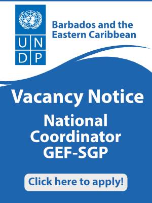Vacancy: National Coordinator Grenada GEF/SGP